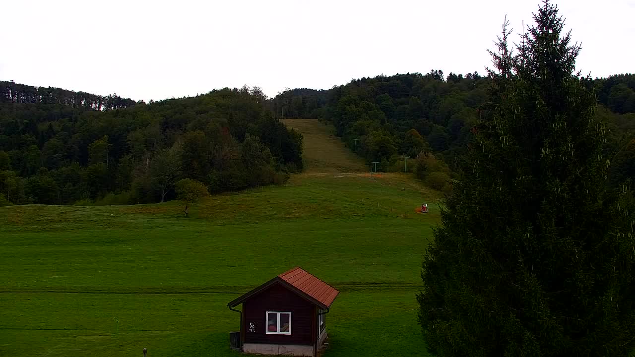 Webcam Lokve – La beauté de la forêt de Trnovo