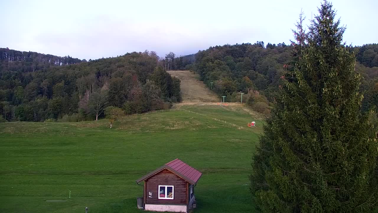 Webcam Lokve – The beauty of the Trnovo forest