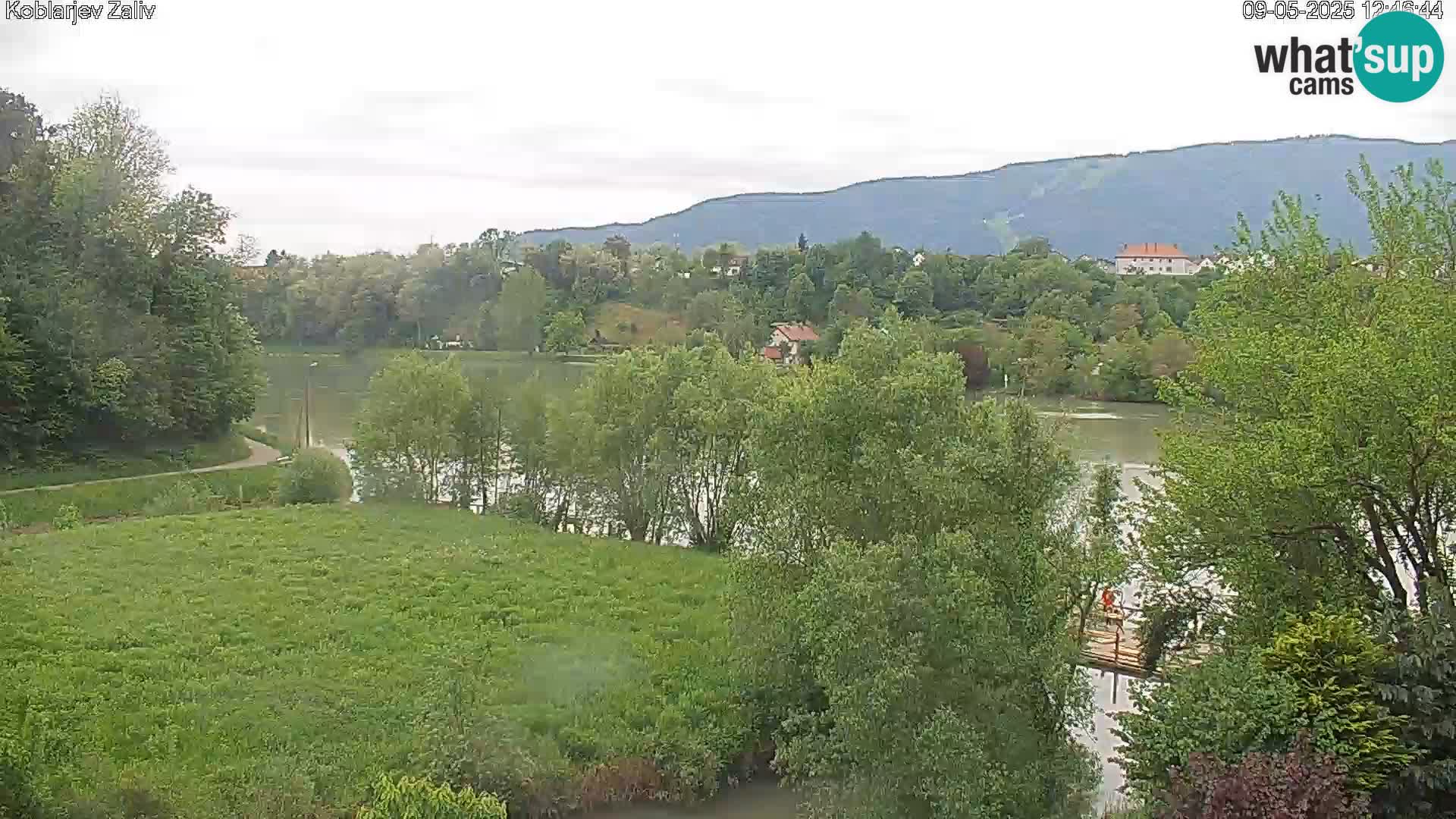 Kamnica – Koblarjev zaliv