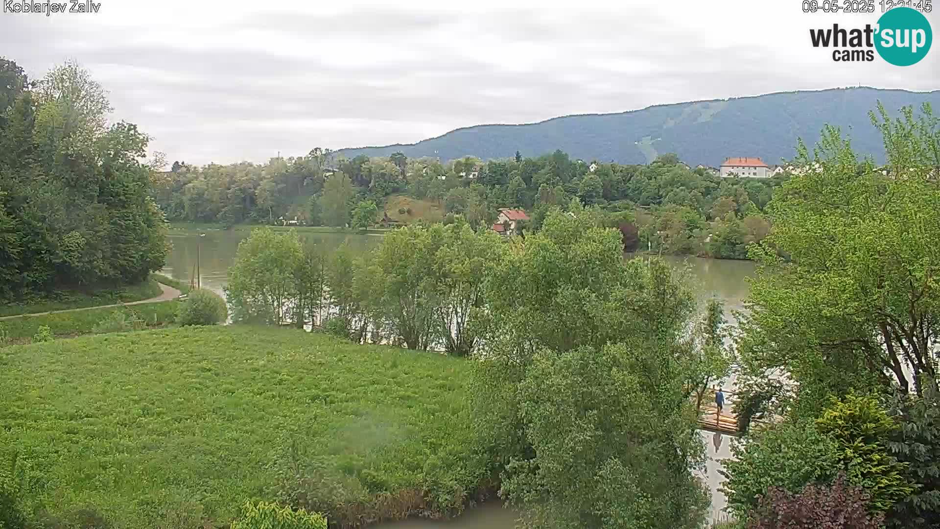 Kamnica – Koblarjev zaliv