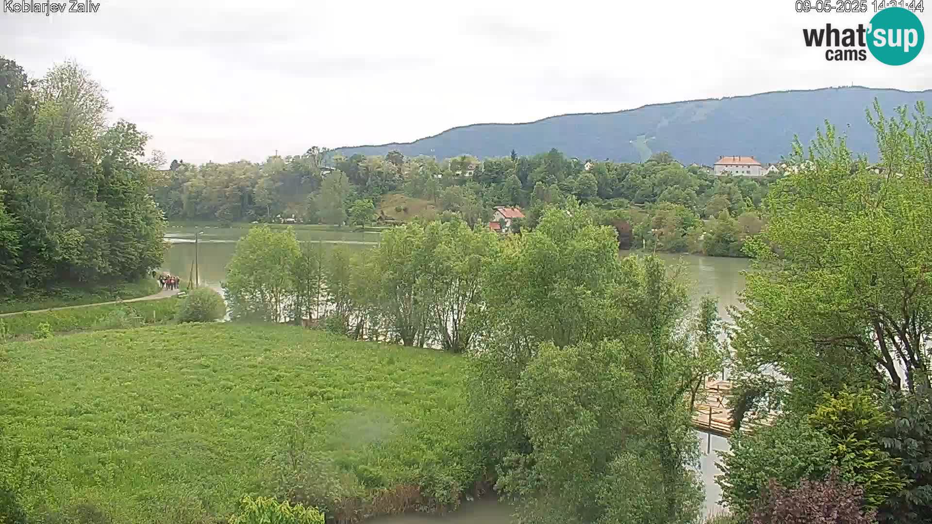 Kamnica – Koblarjev zaliv