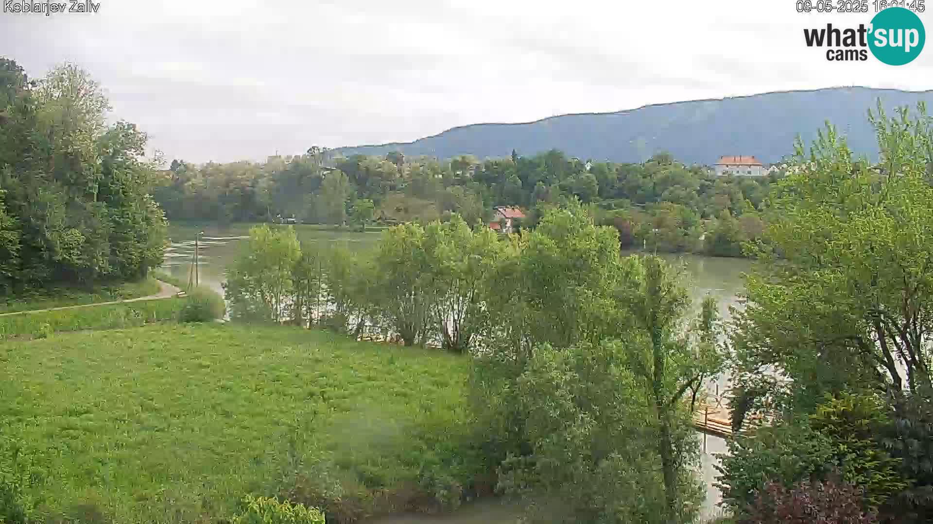 Kamnica – Koblarjev zaliv
