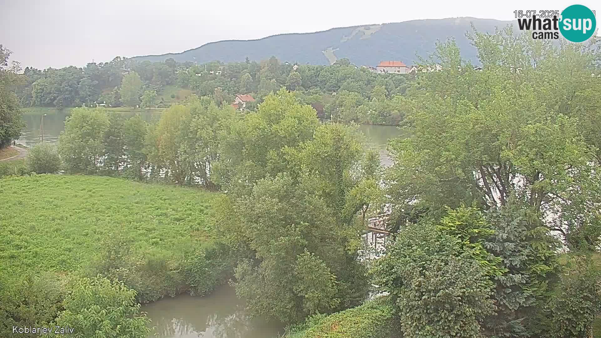 Kamnica – Koblarjev zaliv