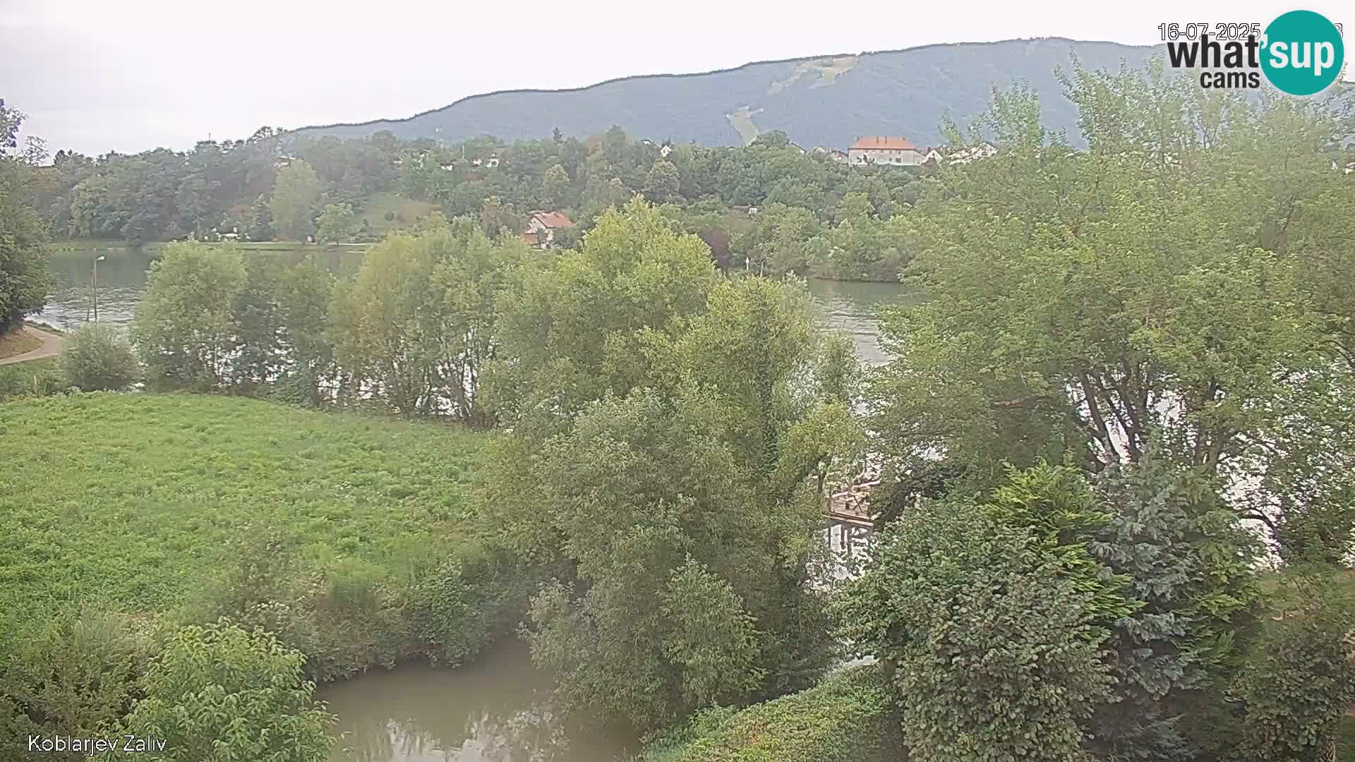 Kamnica – Koblarjev zaliv