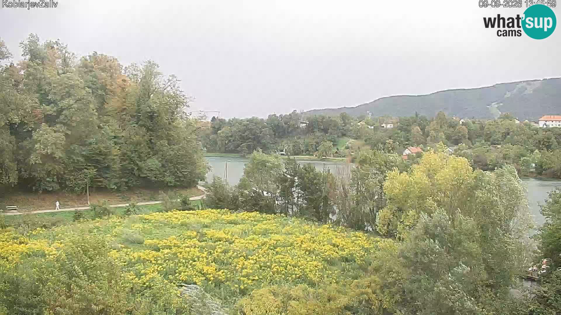 Kamnica – Koblarjev zaliv