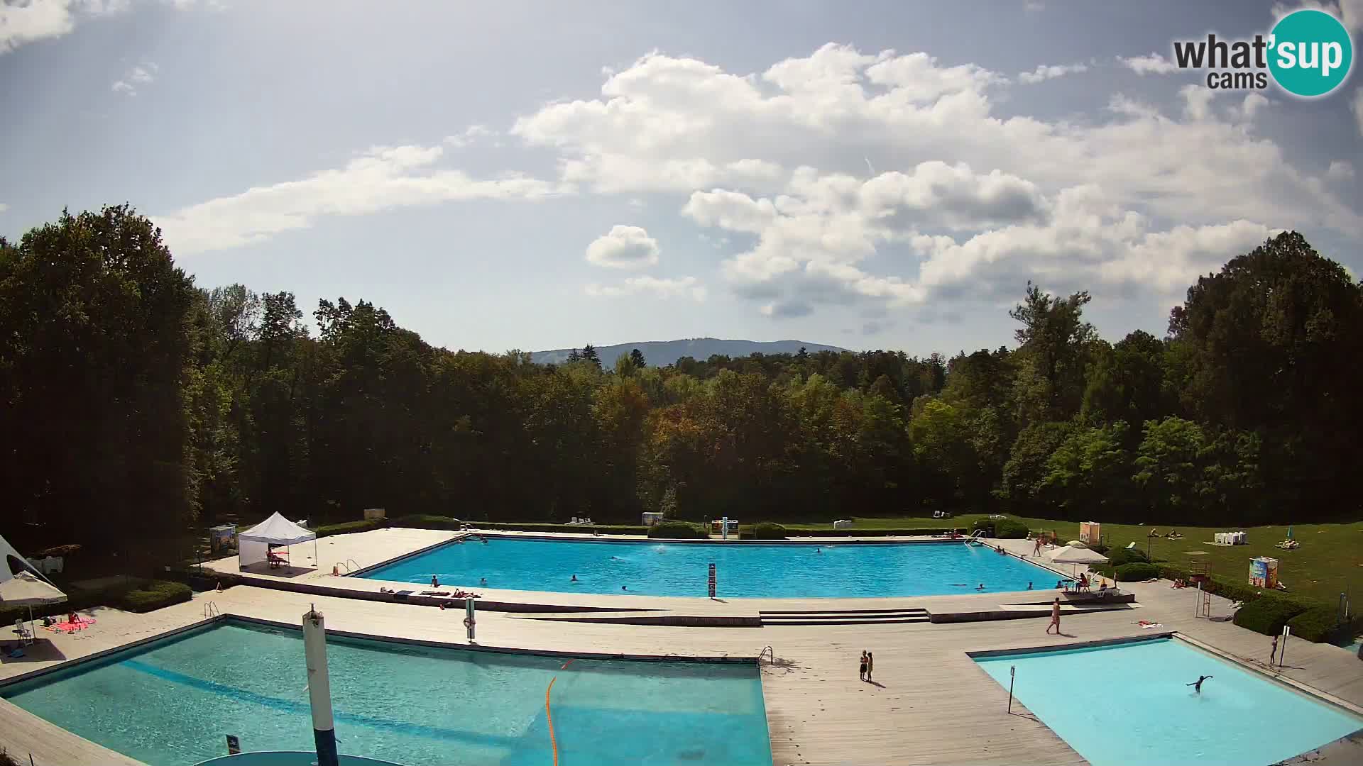 Cámara web en la piscina de la isla de Maribor