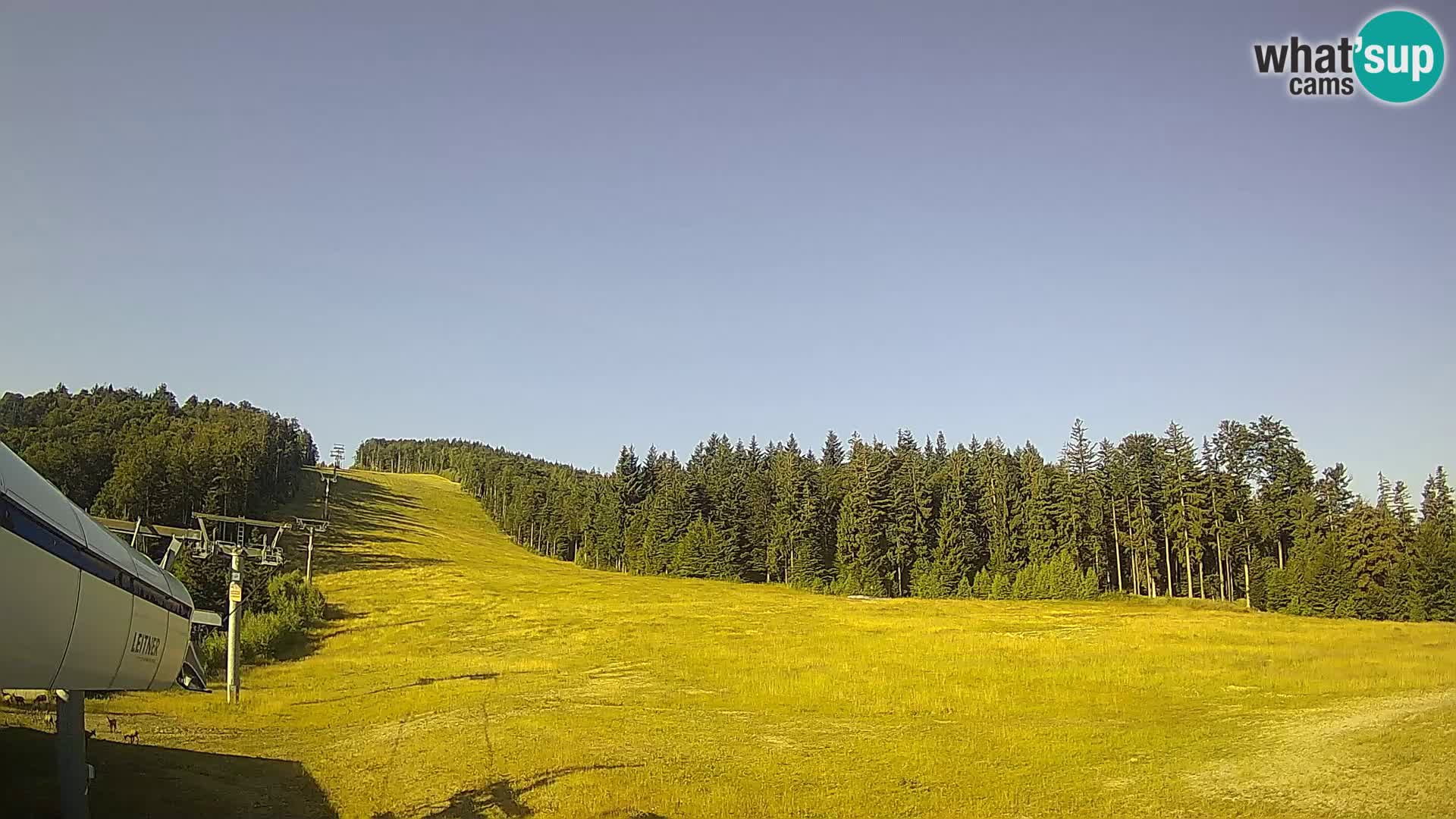 Estacion esqui Maribor Pohorje – Cojzerica
