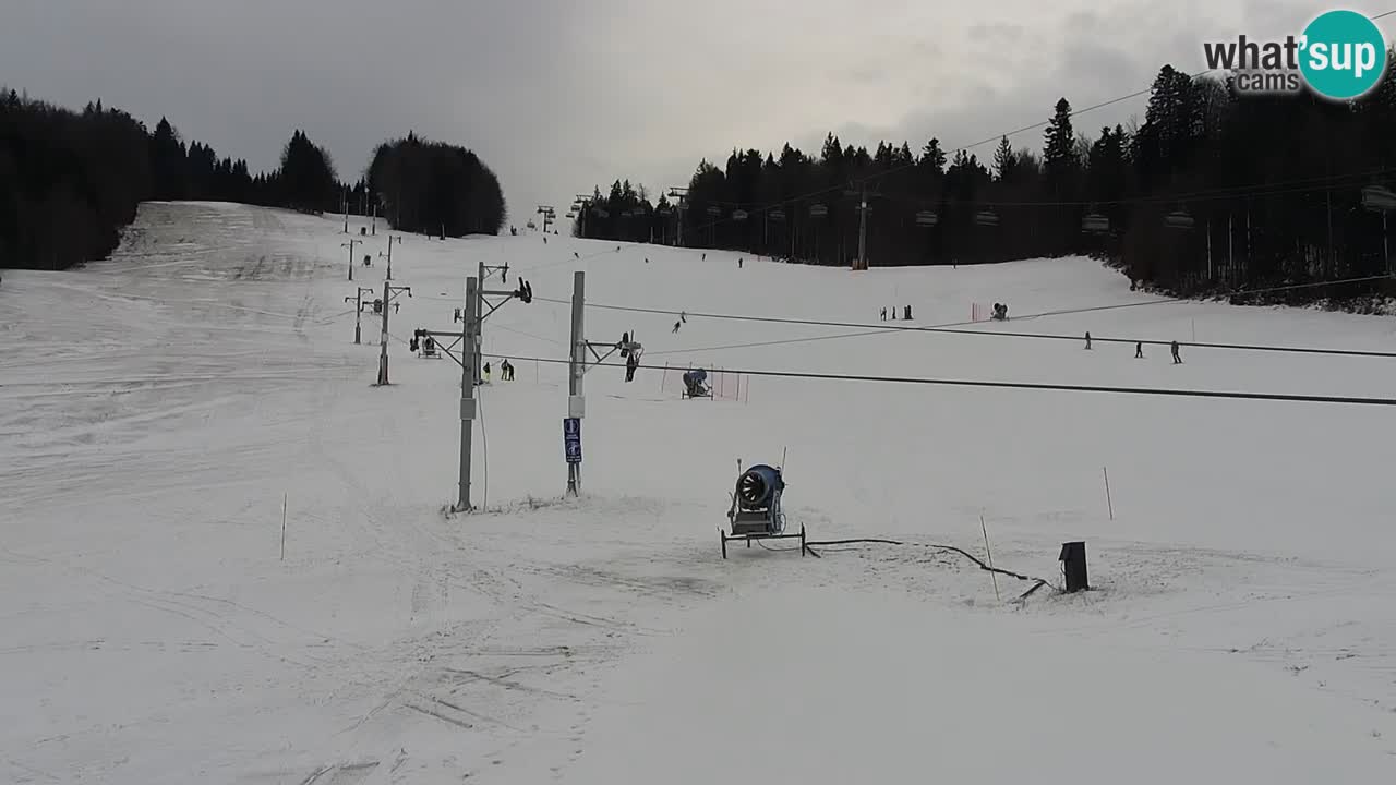 Skigebiet Pohorje Maribor – Pisker