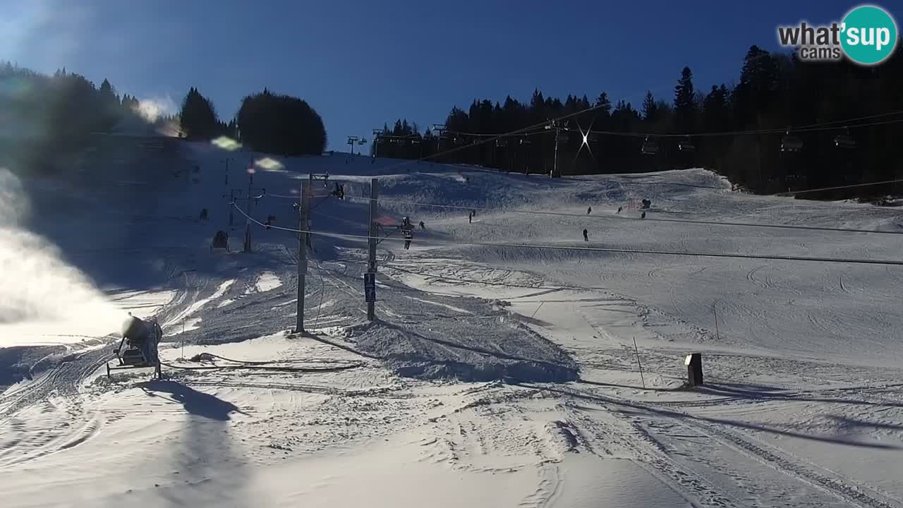 Station de ski Pohorje – Pisker