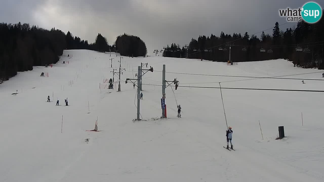 Station de ski Pohorje – Pisker