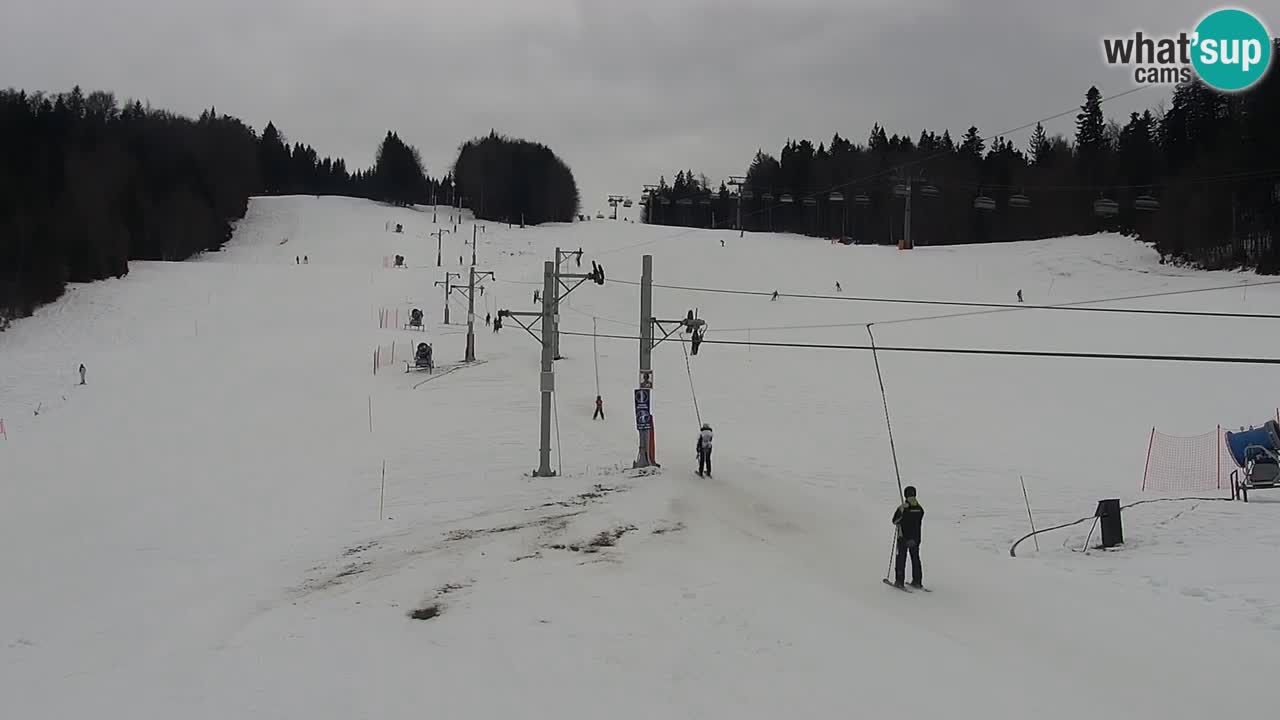 Skigebiet Pohorje Maribor – Pisker