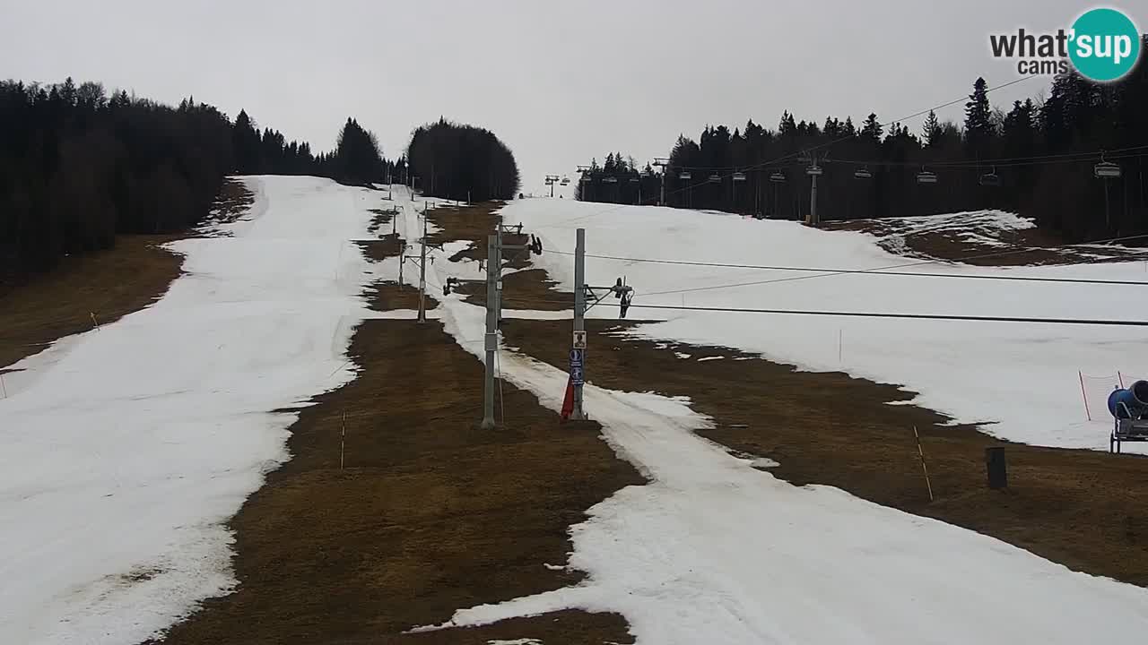 Skigebiet Pohorje Maribor – Pisker