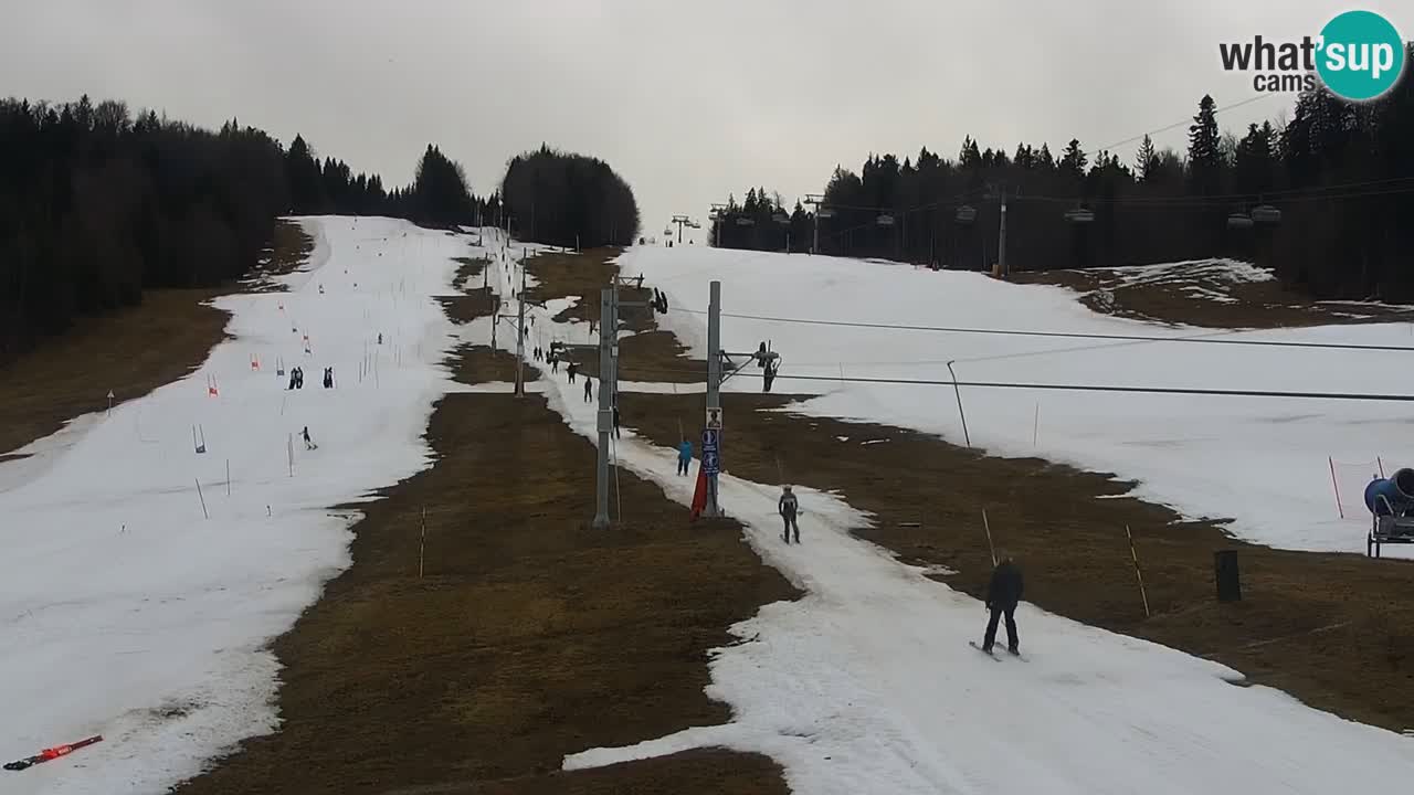 Stazione sciistica Pohorje Maribor – Pisker