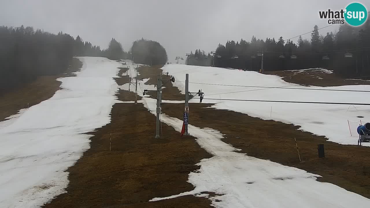 Skigebiet Pohorje Maribor – Pisker