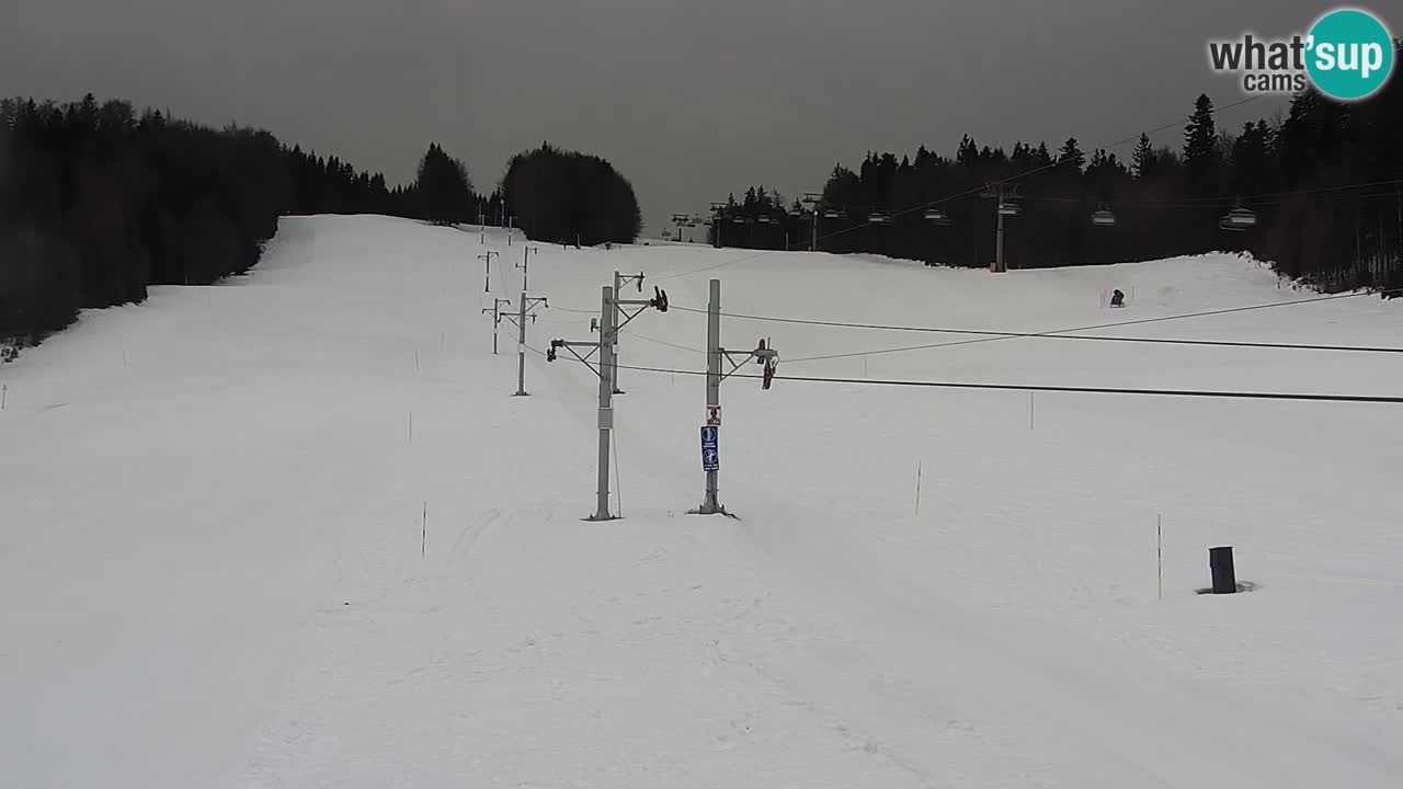 Skigebiet Pohorje Maribor – Pisker