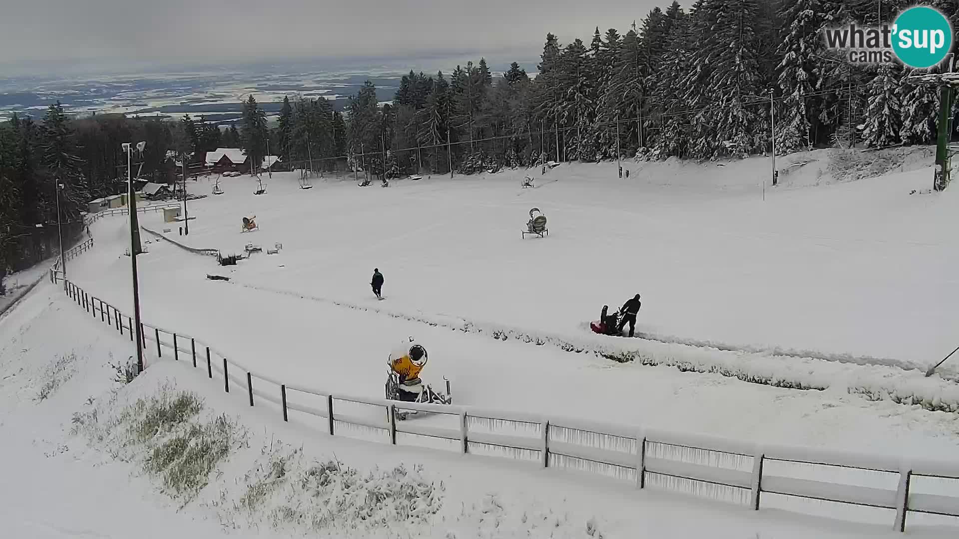 Estacion esqui  en vivo Maribor Pohorje – Bellevue