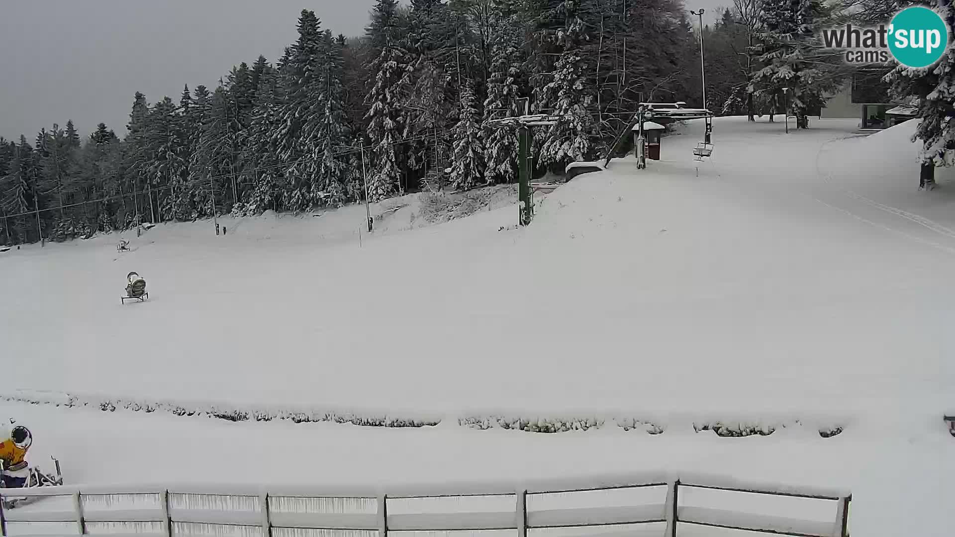 Skigebiet Maribor Pohorje Bellevue