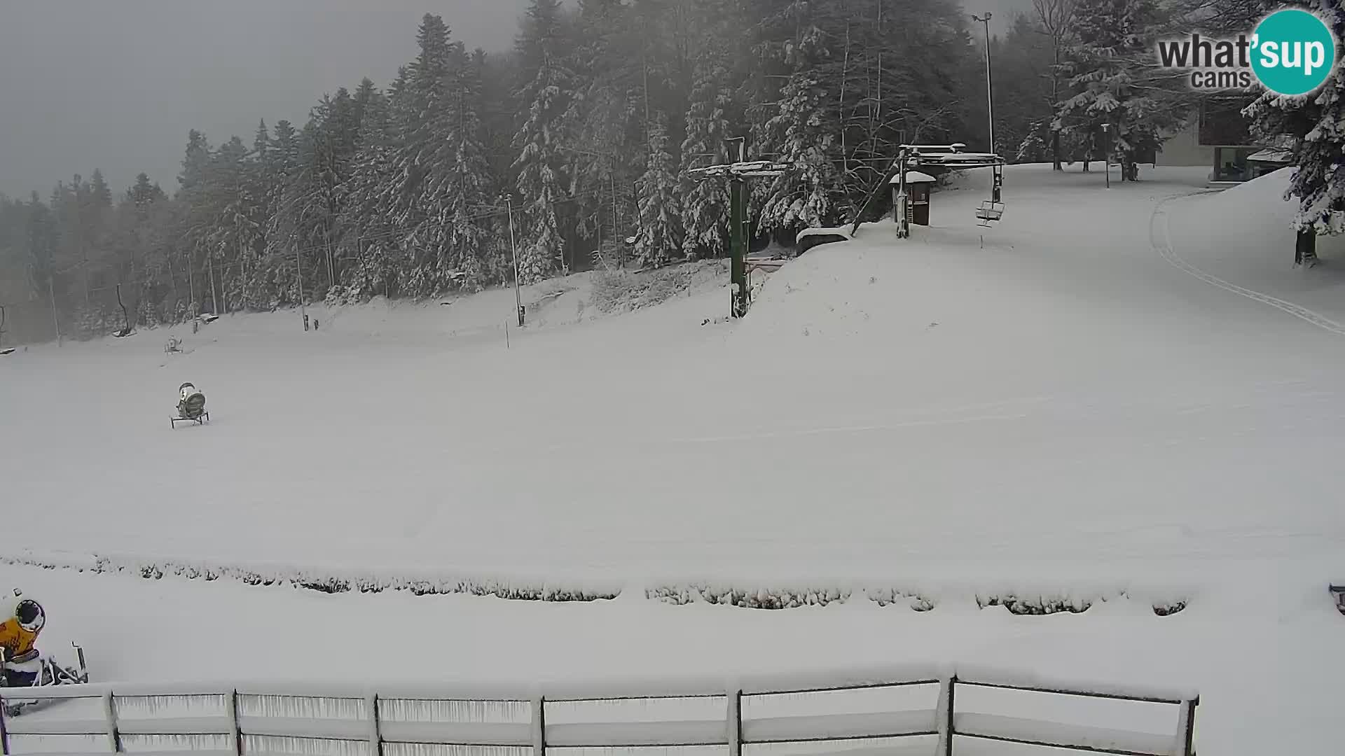 Livecam Maribor Pohorje – Bellevue