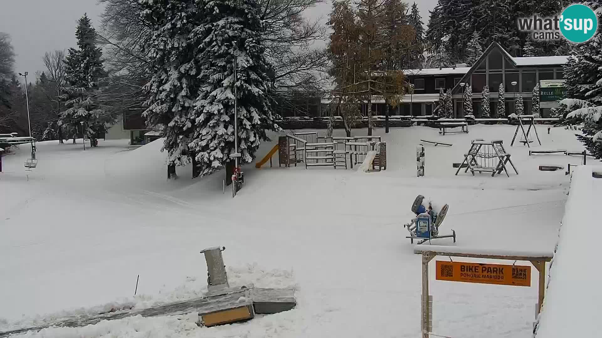 Skigebiet Maribor Pohorje Bellevue