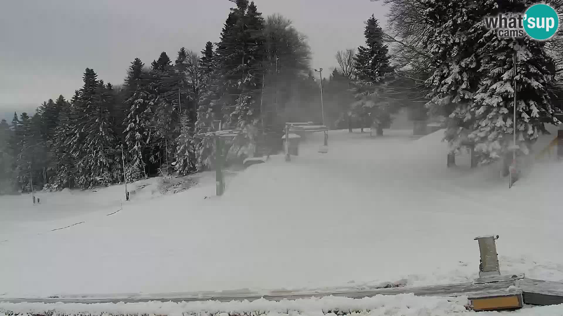 V živo Mariborsko Pohorje – Bellevue