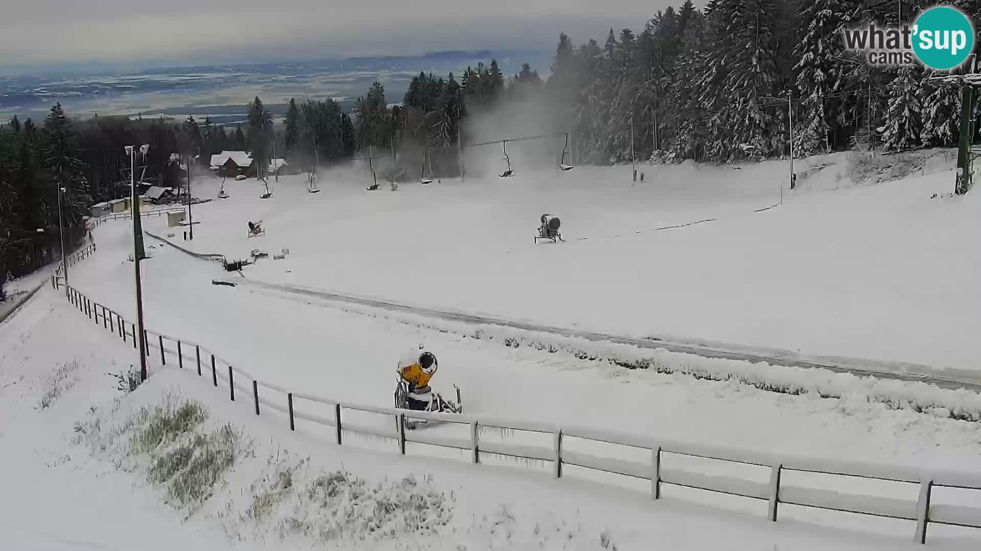 U živo Mariborsko Pohorje – Bellevue