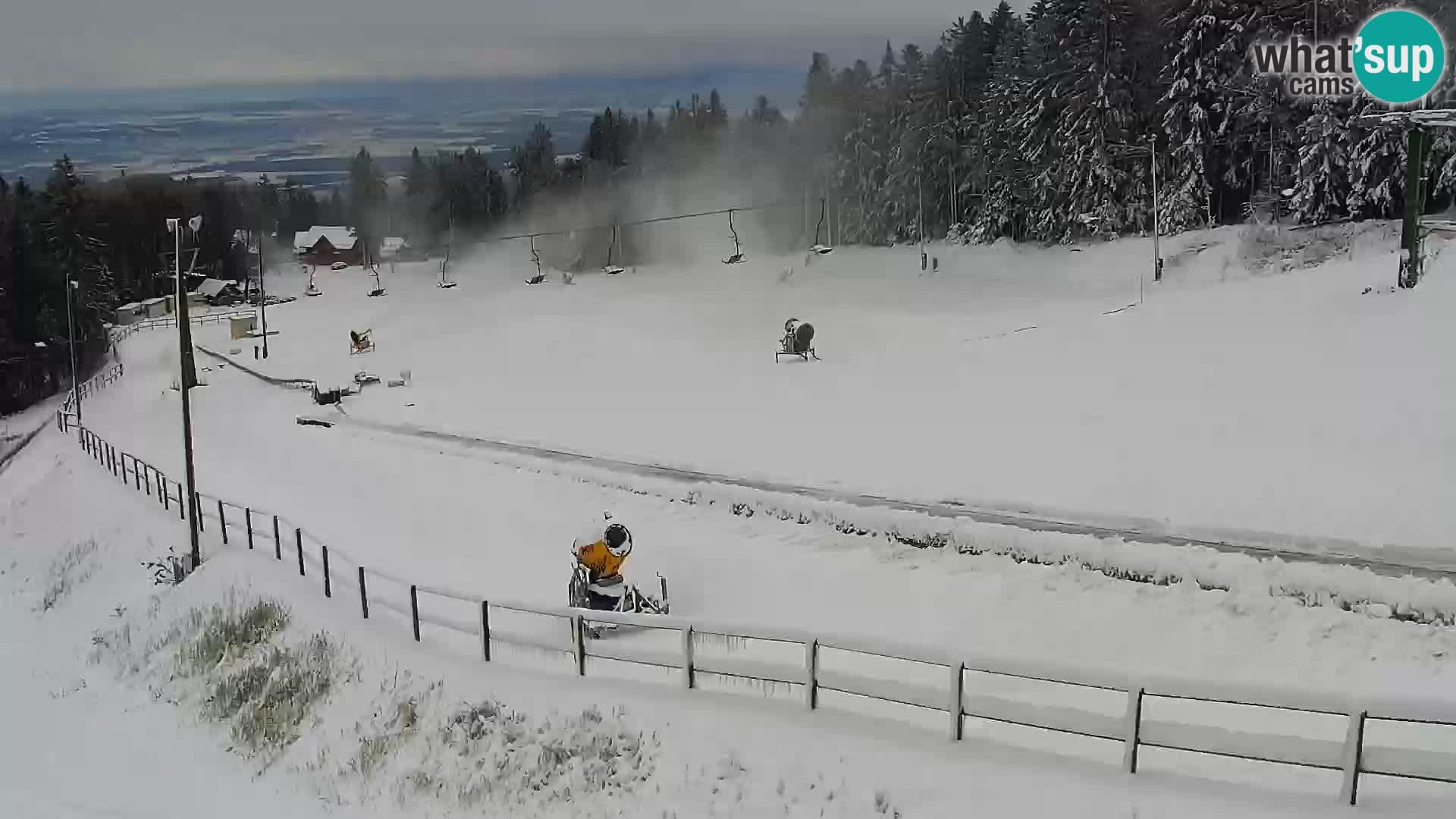 U živo Mariborsko Pohorje – Bellevue