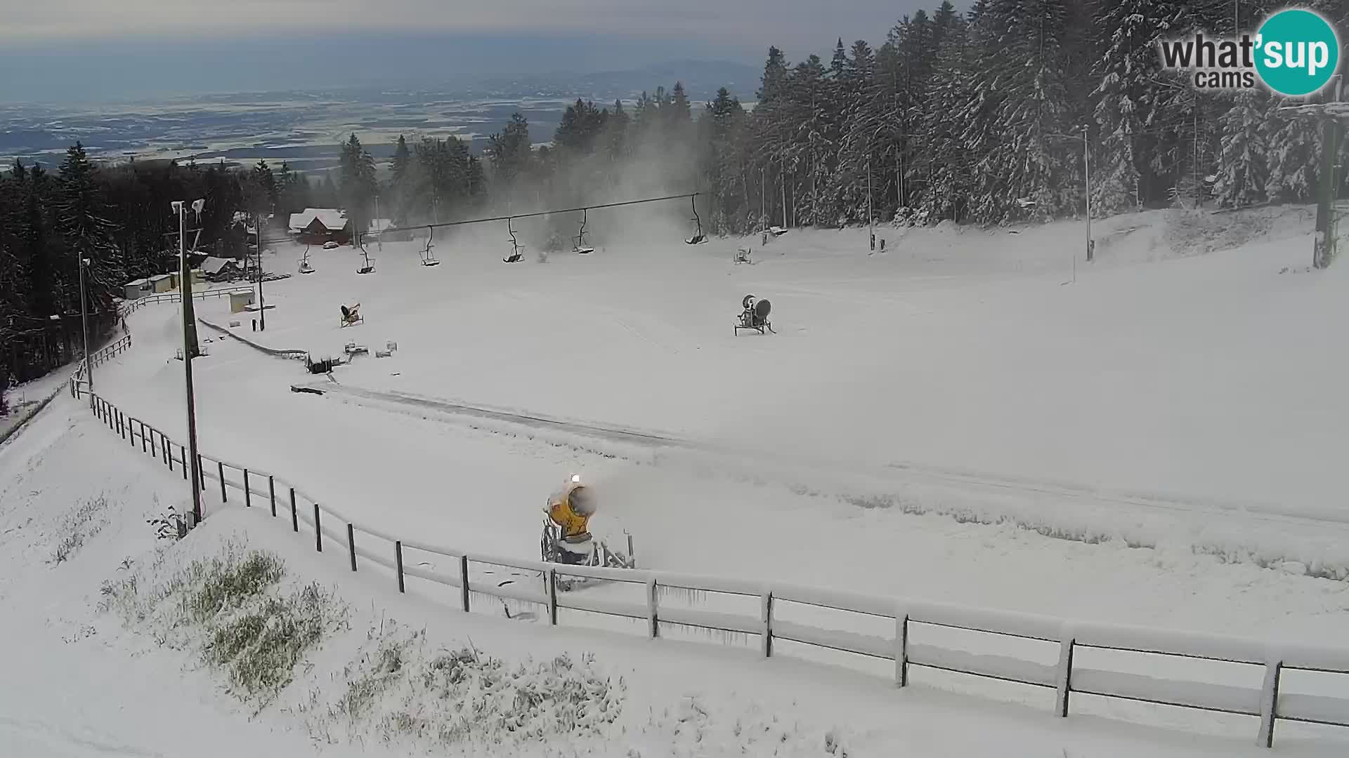 V živo Mariborsko Pohorje – Bellevue