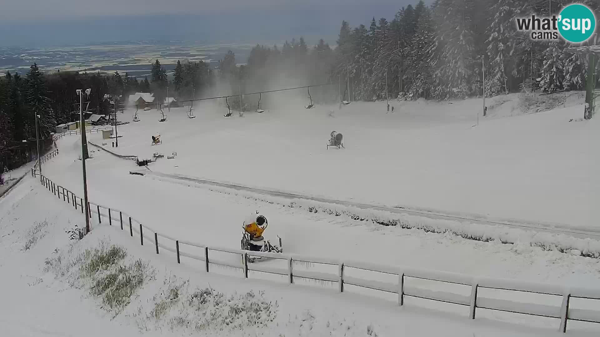 V živo Mariborsko Pohorje – Bellevue