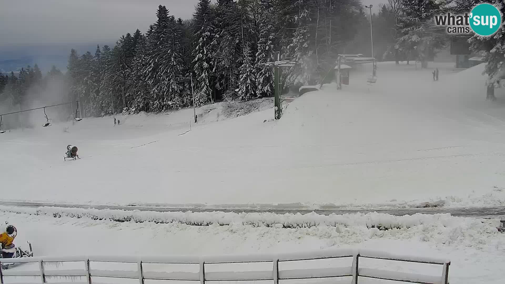 V živo Mariborsko Pohorje – Bellevue