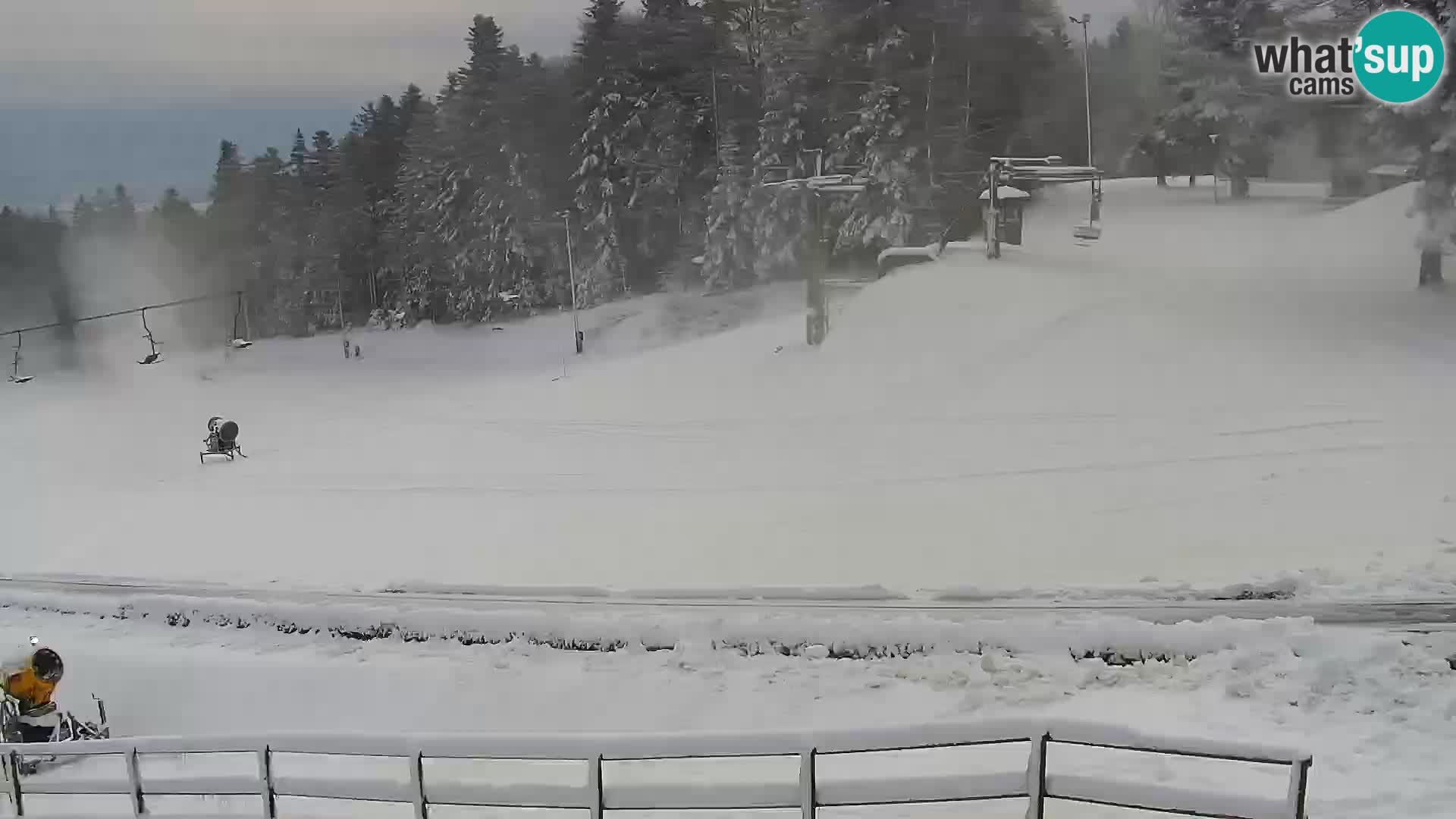 Livecam Maribor Pohorje – Bellevue