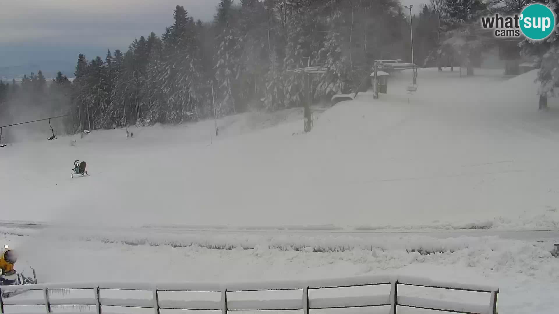 V živo Mariborsko Pohorje – Bellevue