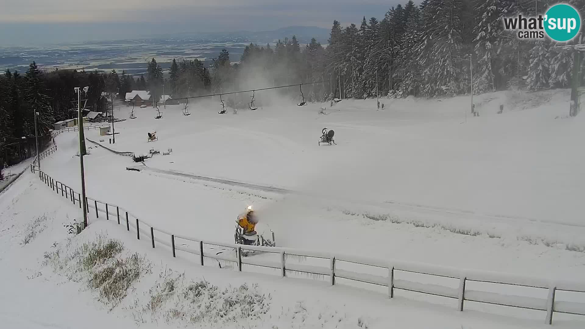 V živo Mariborsko Pohorje – Bellevue