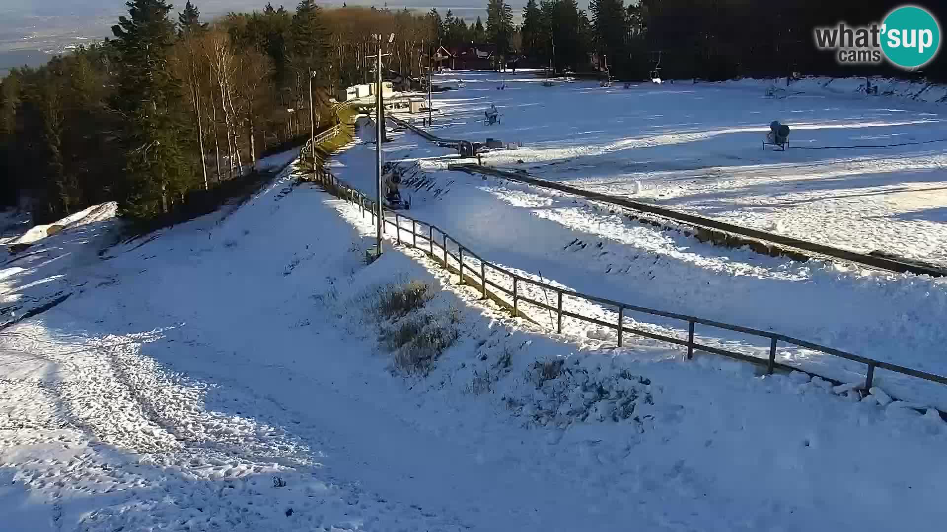 Estacion esqui  en vivo Maribor Pohorje – Bellevue