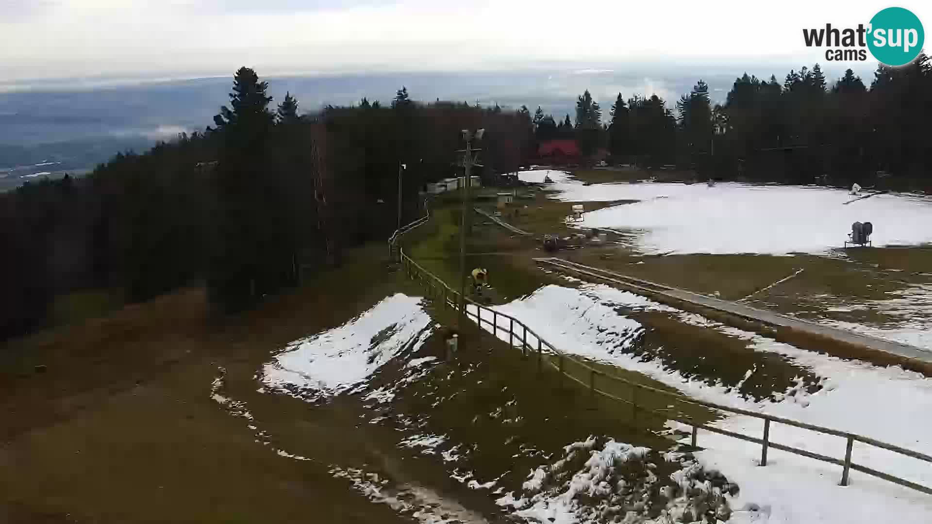 Estacion esqui  en vivo Maribor Pohorje – Bellevue