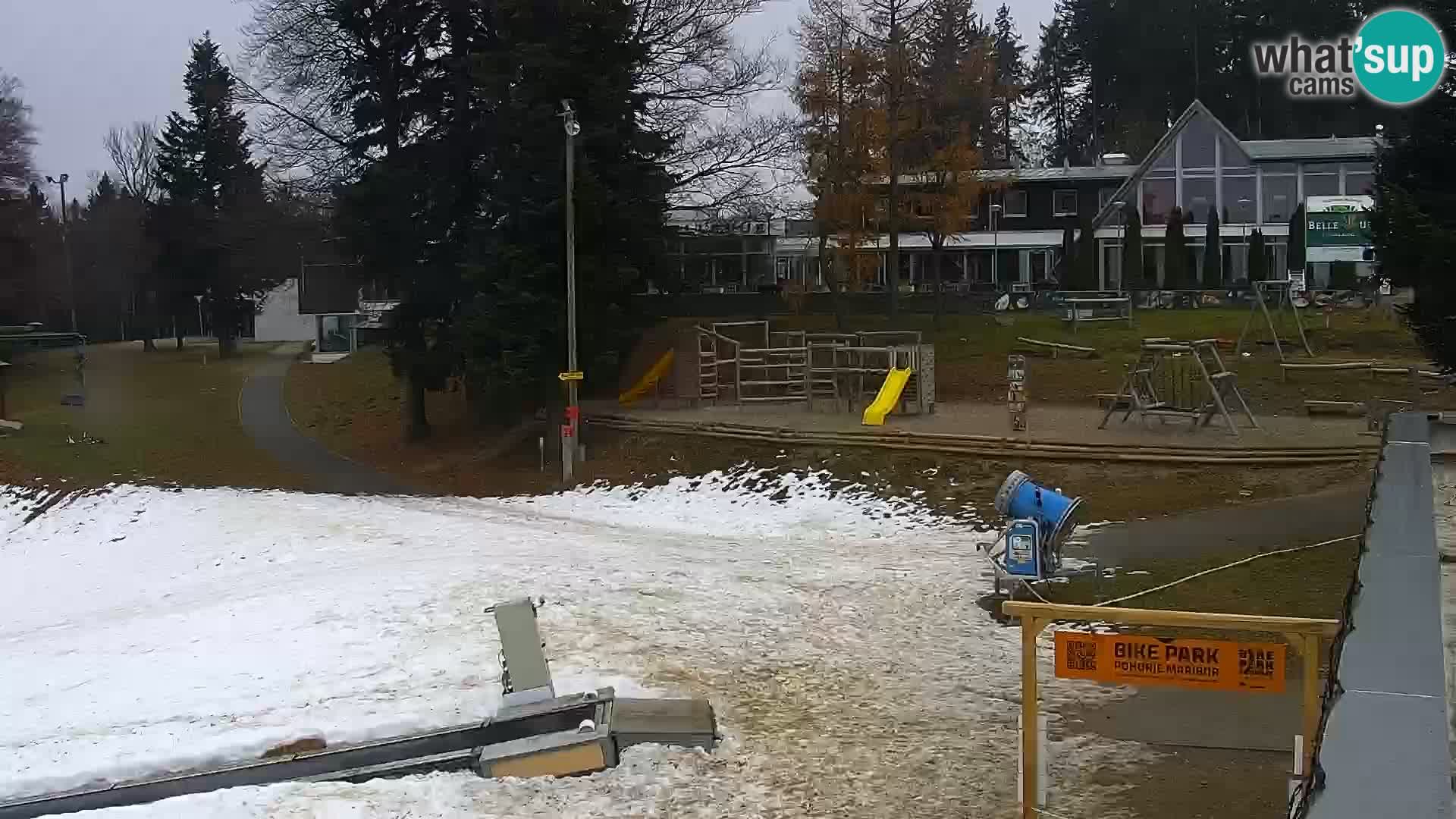 Skigebiet Maribor Pohorje Bellevue