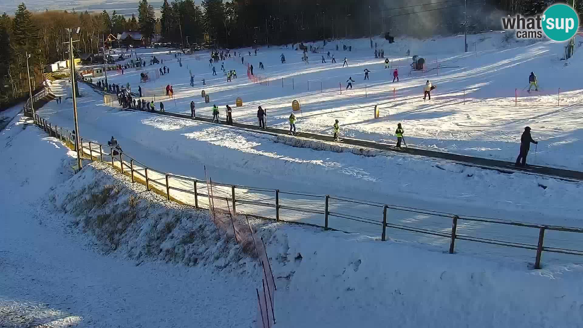 V živo Mariborsko Pohorje – Bellevue