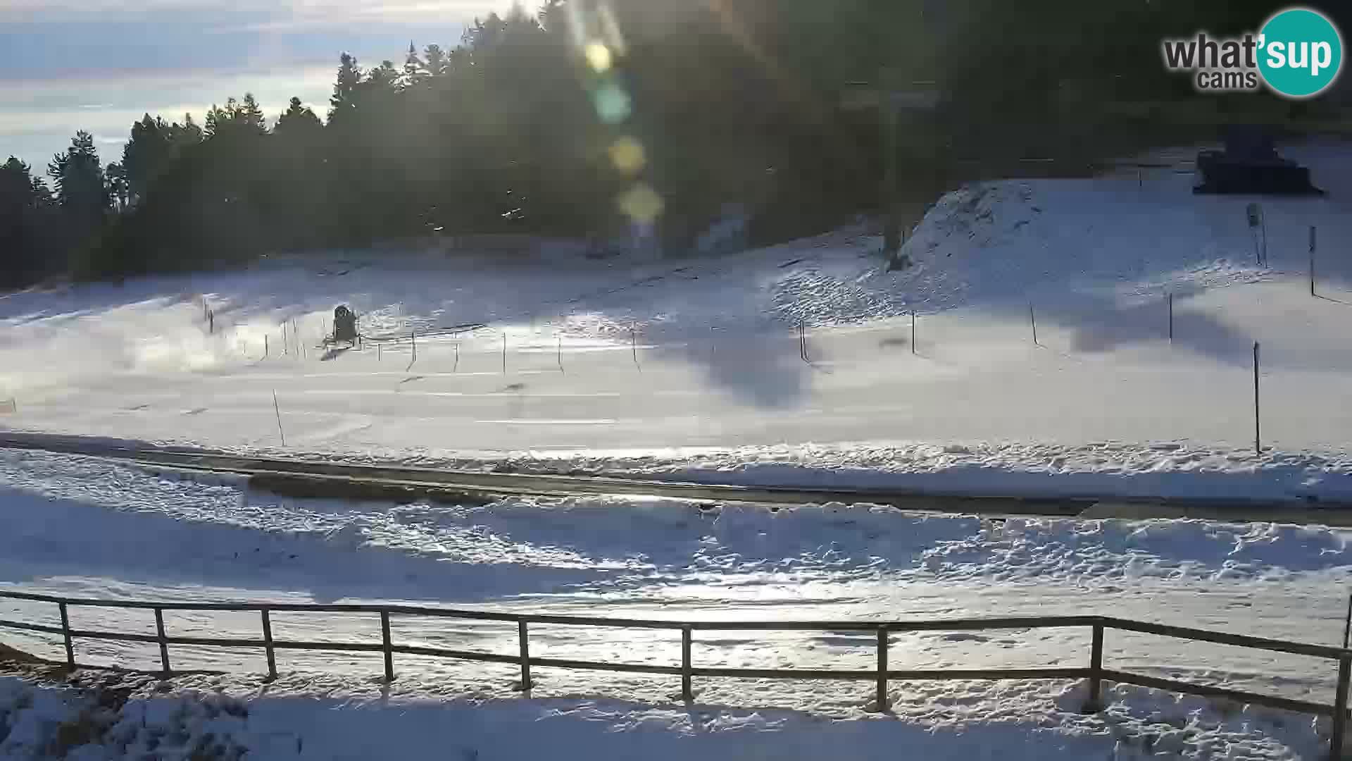 Livecam Maribor Pohorje – Bellevue