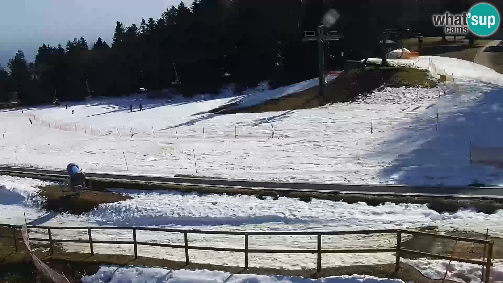 Station ski Livecam Maribor Pohorje – Bellevue