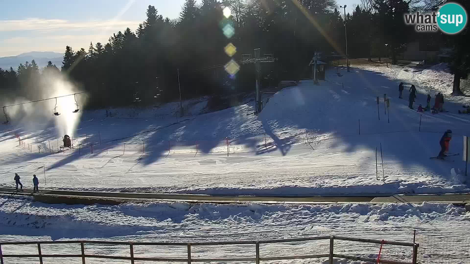 V živo Mariborsko Pohorje – Bellevue