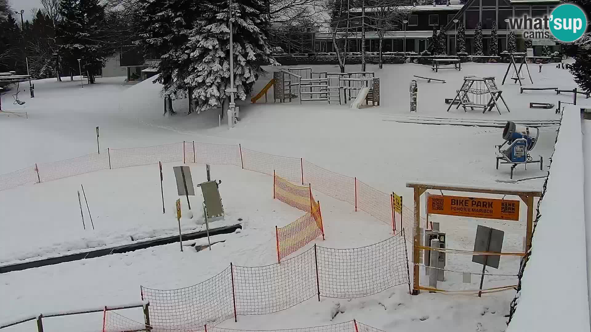 Station ski Livecam Maribor Pohorje – Bellevue