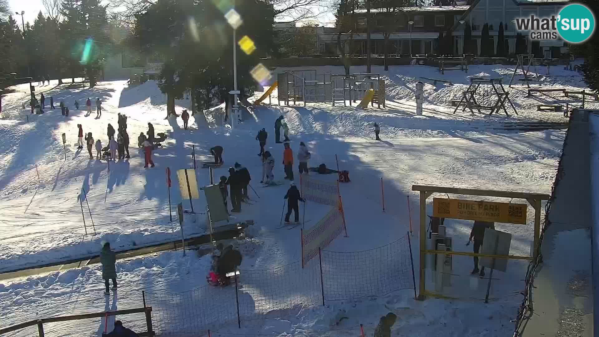 Station ski Livecam Maribor Pohorje – Bellevue