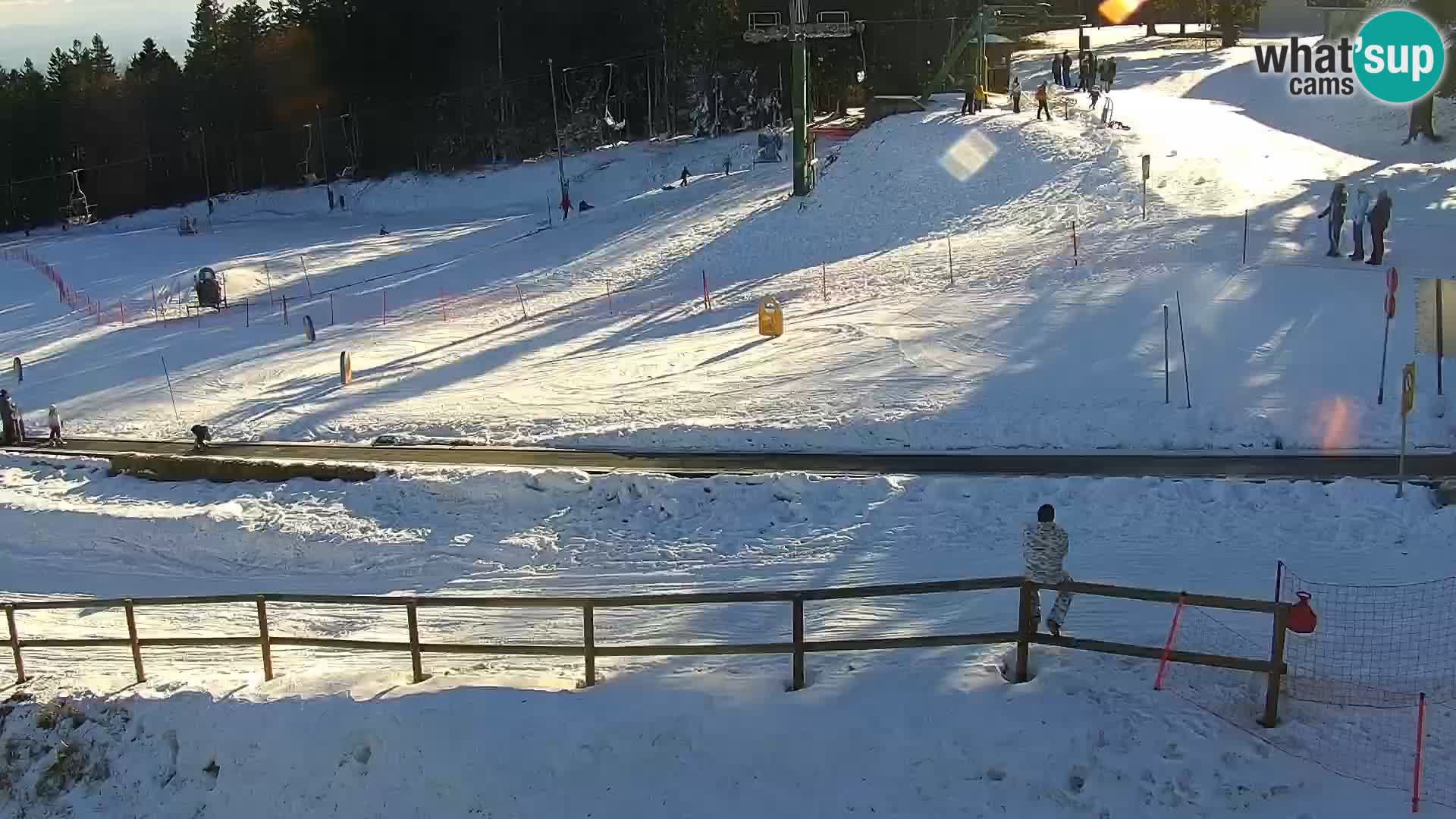 Livecam Maribor Pohorje – Bellevue