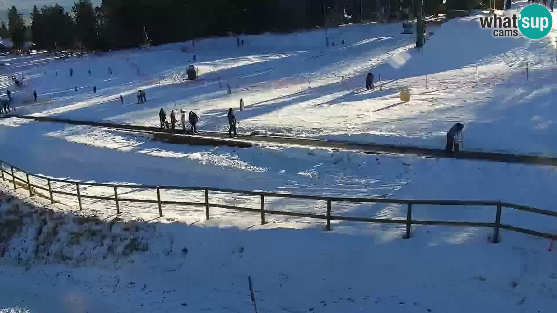 V živo Mariborsko Pohorje – Bellevue