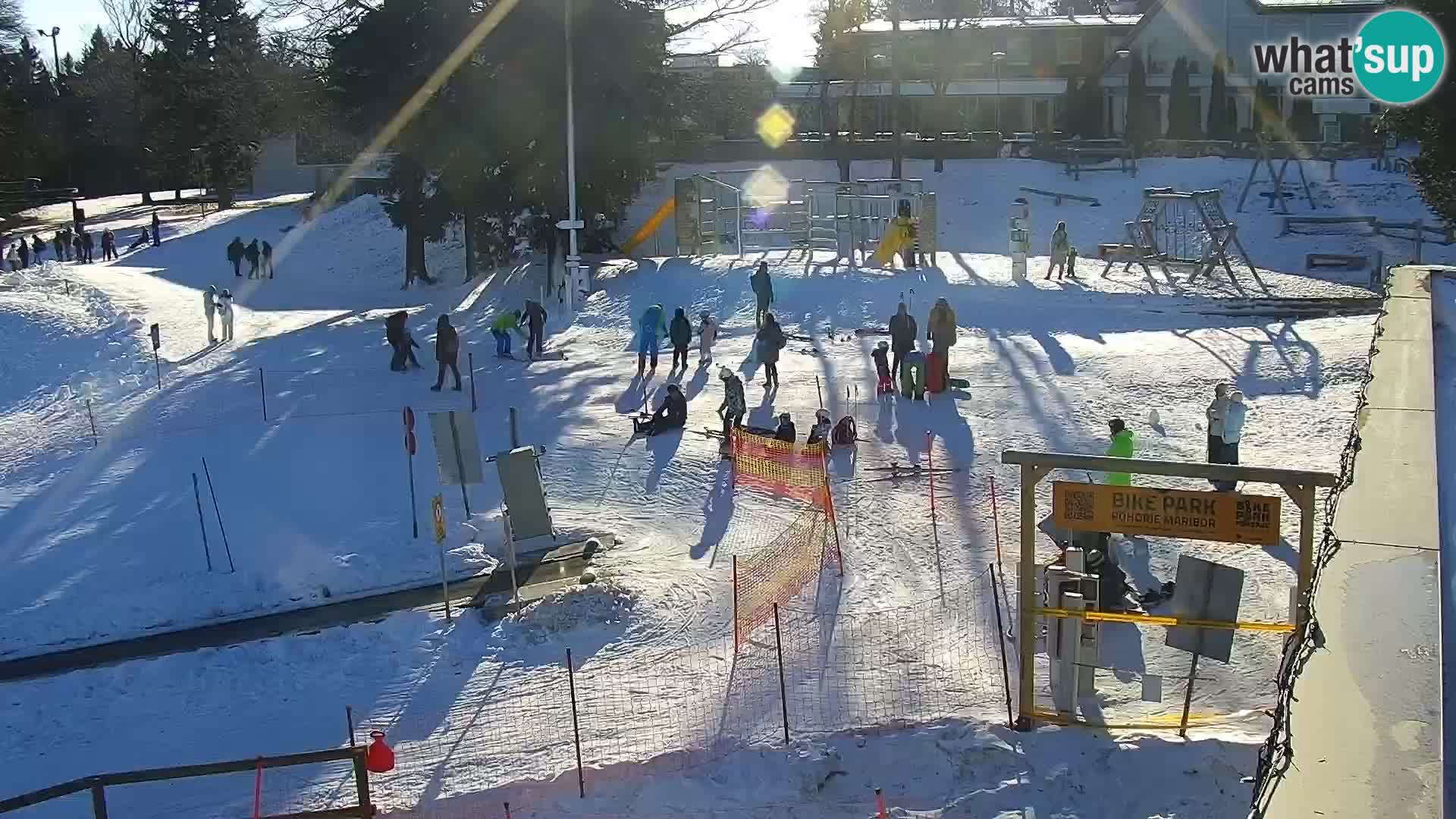 Ski resort Maribor Pohorje Bellevue