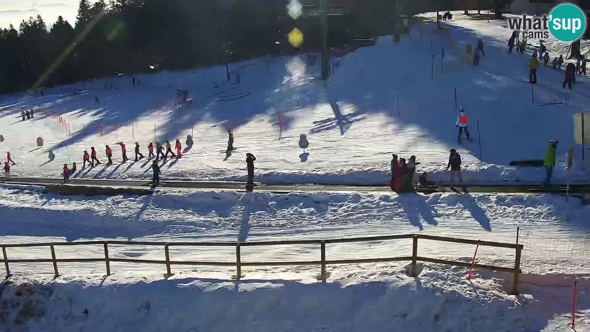 Estacion esqui  en vivo Maribor Pohorje – Bellevue