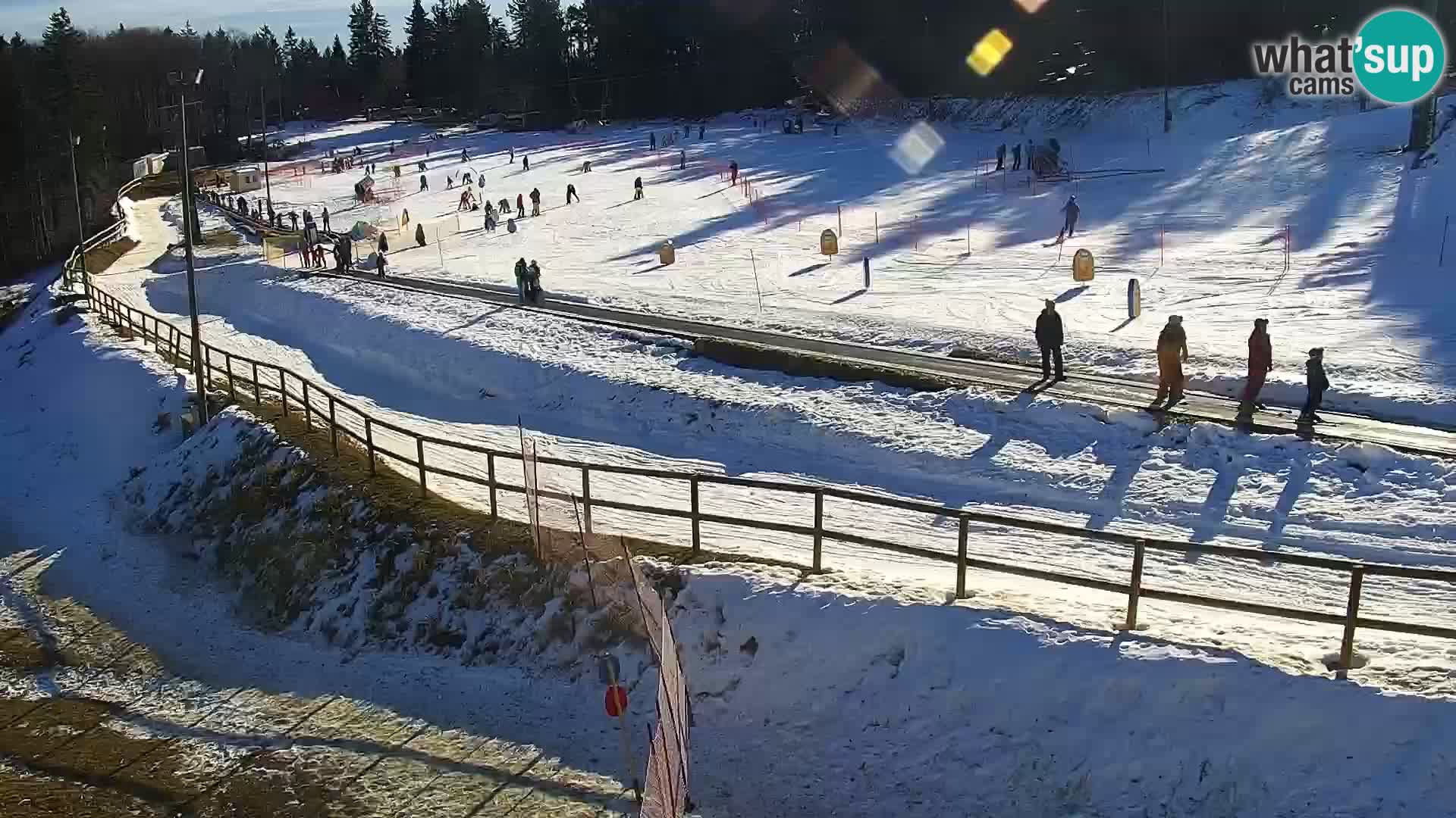 Station ski Livecam Maribor Pohorje – Bellevue