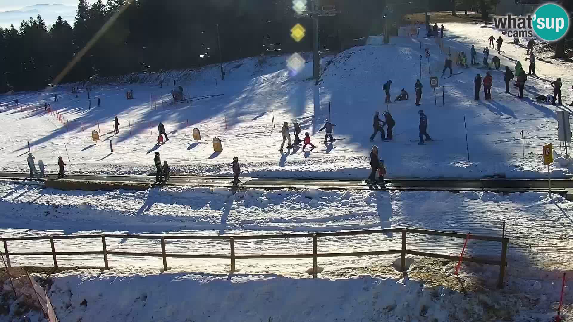 Station ski Livecam Maribor Pohorje – Bellevue