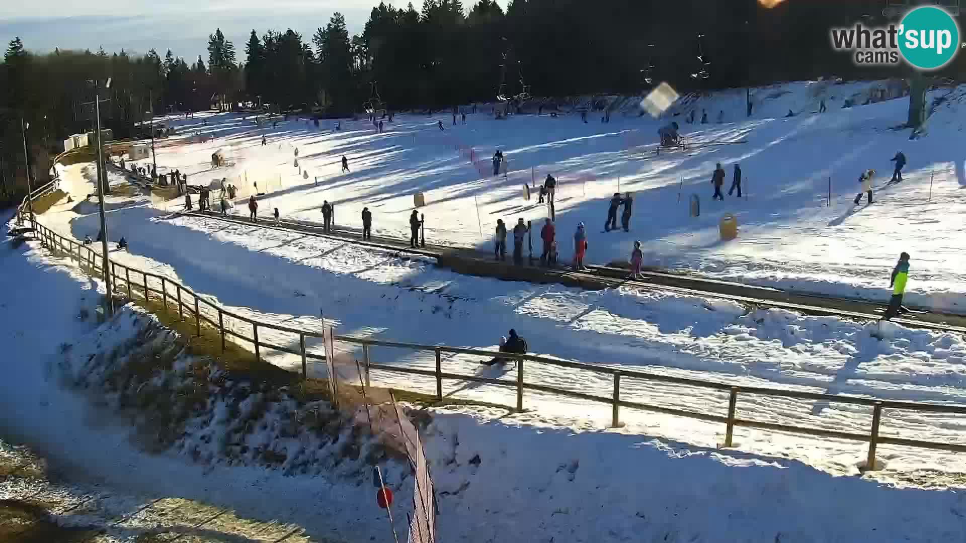 Station ski Livecam Maribor Pohorje – Bellevue