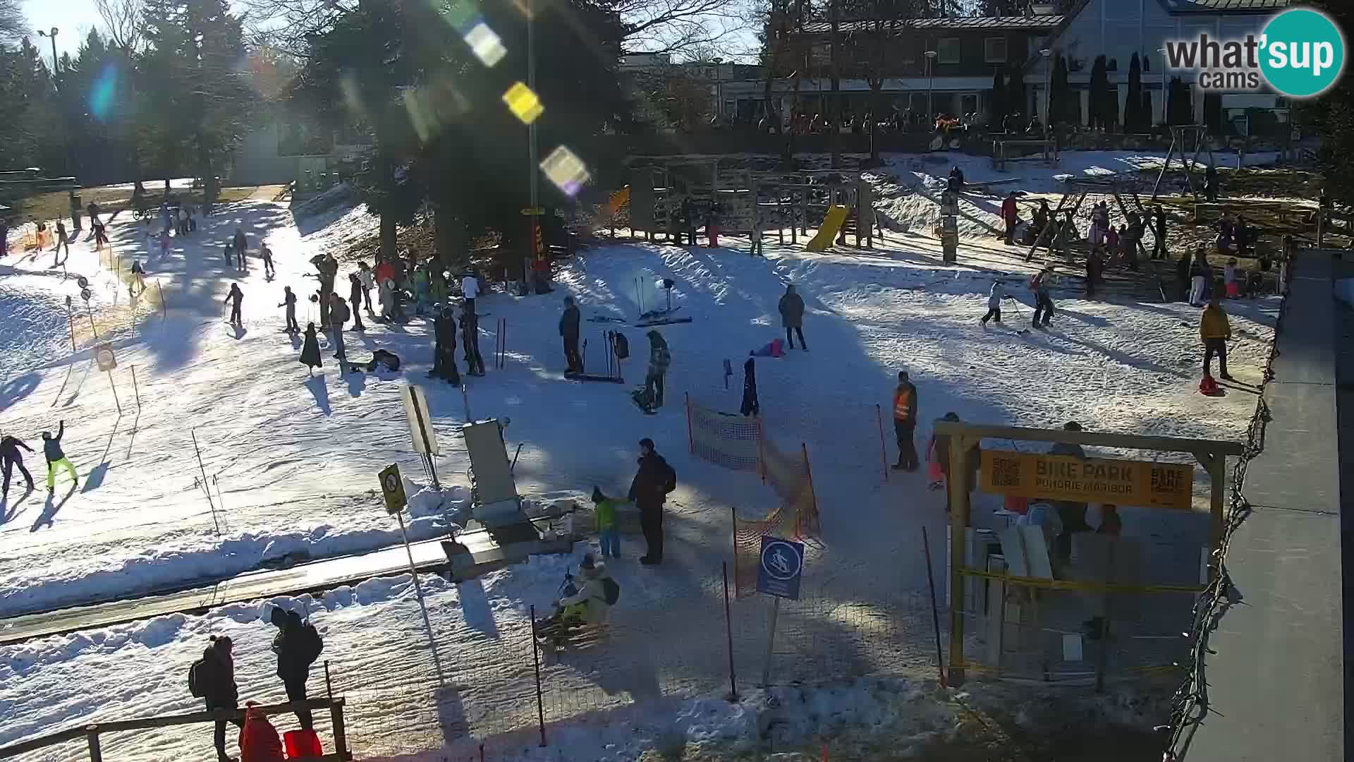 Station ski Maribor Pohorje – Bellevue