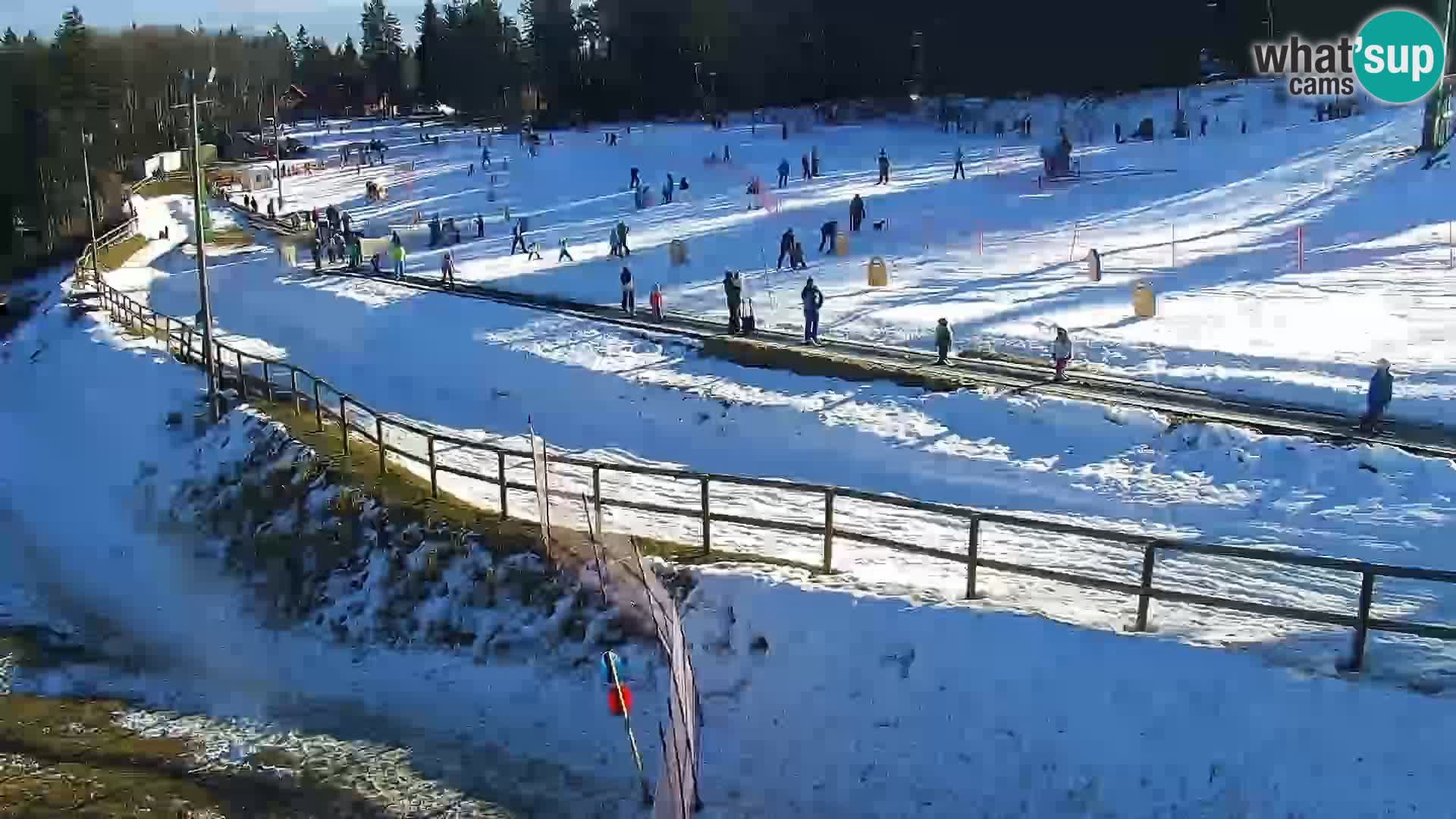 Livecam Maribor Pohorje – Bellevue